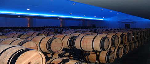 11. OENOLOGIE MODERNE - 49&euro;